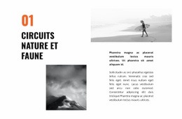 Voyage De La Faune - HTML Builder Drag And Drop