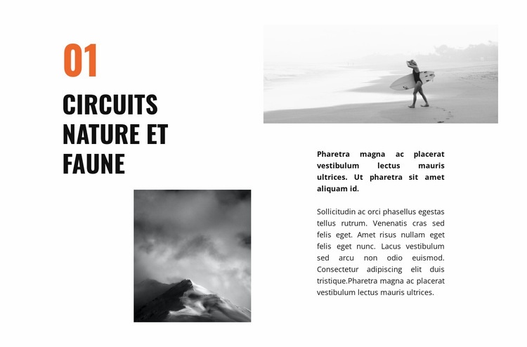 Voyage de la faune Modèle HTML5