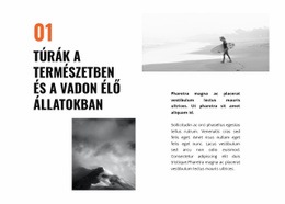 Vadon Élő Állatok Utazása - Ingyenes Sablonok