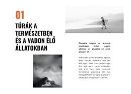 A Legjobb Webhelytervezés Vadon Élő Állatok Utazása Számára