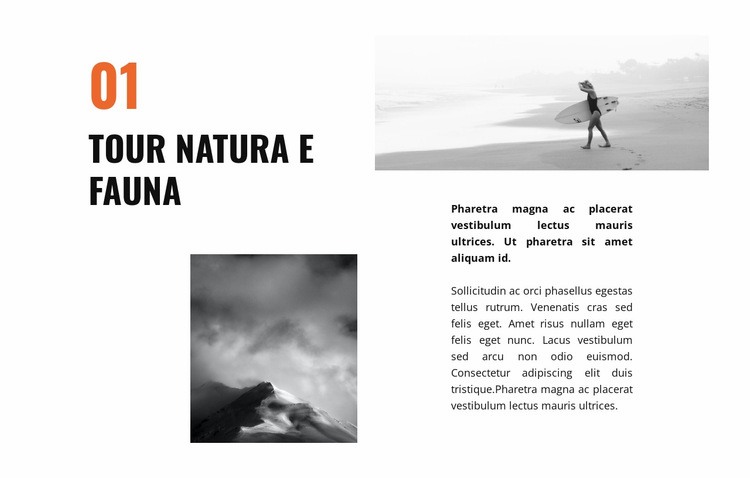 Viaggio nella fauna selvatica Modelli di Website Builder