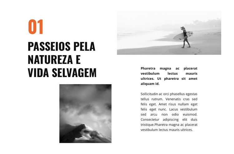 Viagem de vida selvagem Construtor de sites HTML