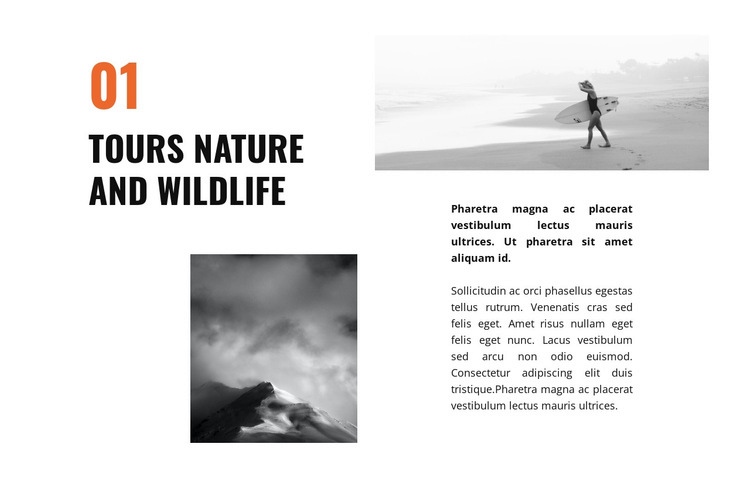 Wildlife travel Web Page Design