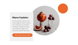 Meyve Tatlıları - Çok Amaçlı HTML5 Şablonu