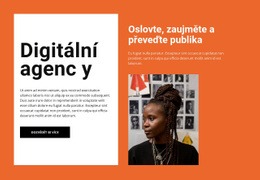 Nová Agentura SMM – Prémiový Motiv WordPress