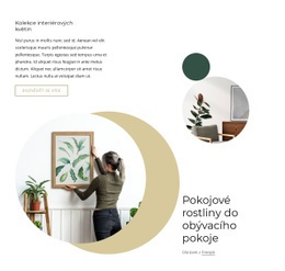Pokojové Rostliny Do Obývacího Pokoje – Inspirace Pro Design Webových Stránek