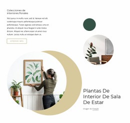 Plantas De Interior De Sala De Estar - Página De Destino Gratuita, Plantilla HTML5