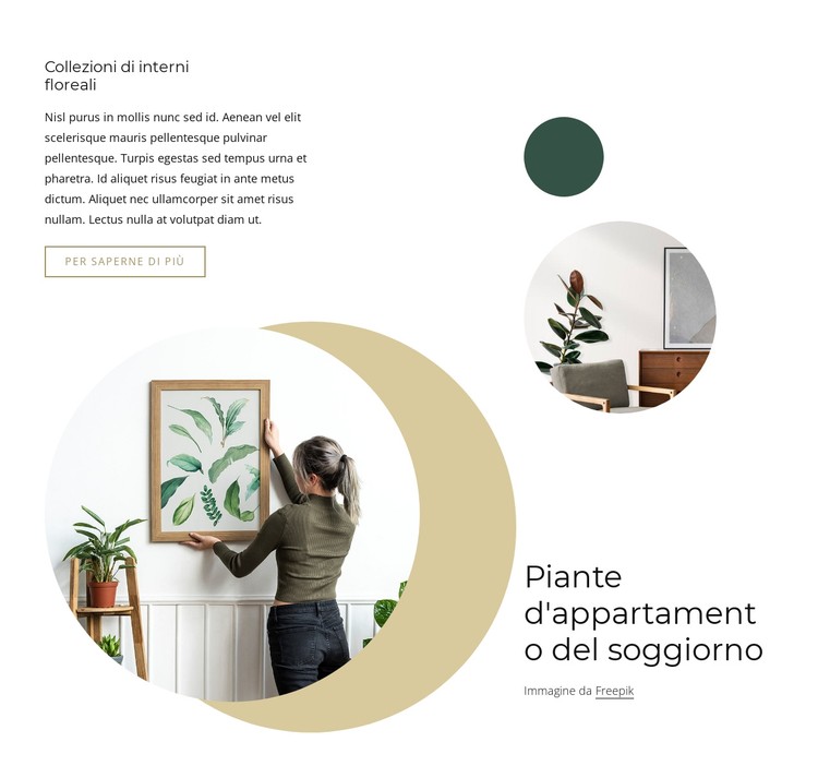 Piante d'appartamento da soggiorno Modello CSS