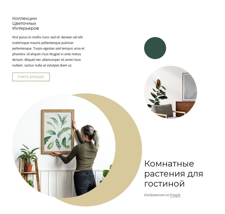 Комнатные растения для гостиной Дизайн сайта