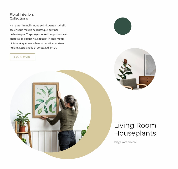 Living room houseplants WordPress Website Builder