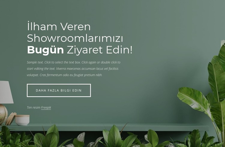 Mobilya showroom tasarımı CSS Şablonu