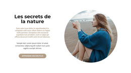 Thème WordPress Polyvalent Pour Secrets De La Faune
