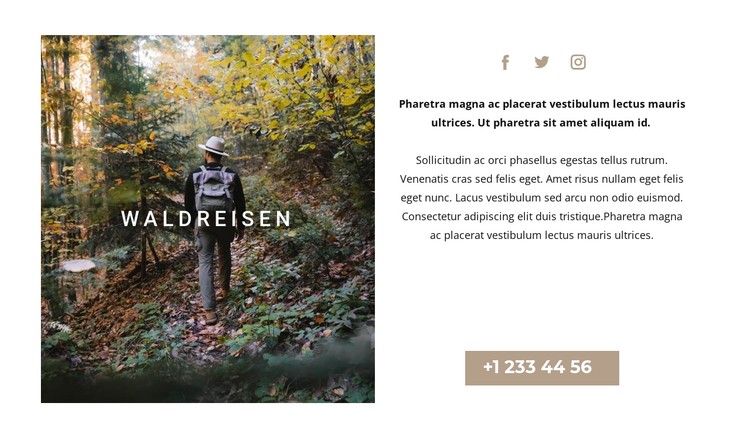 Im Wald laufen CSS-Vorlage