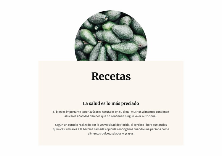 El aguacate es el rey de las vitaminas Maqueta de sitio web