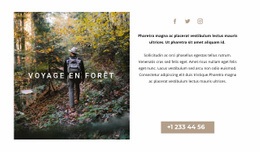 Marcher Dans Les Bois - Maquette De Site Web Professionnel Personnalisable