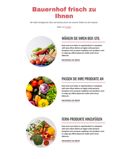 Landwirtschaftliche Produkte – WordPress-Vorlage