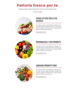 Prodotti Agricoli - Mockup Del Sito Web Con Funzionalità