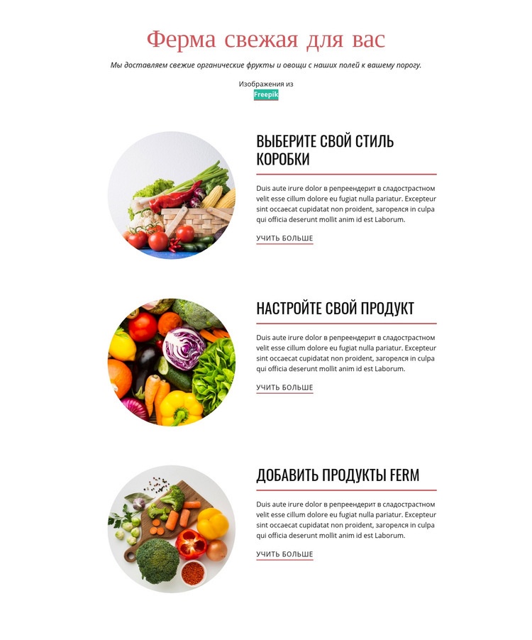 Фермерские продукты Мокап веб-сайта