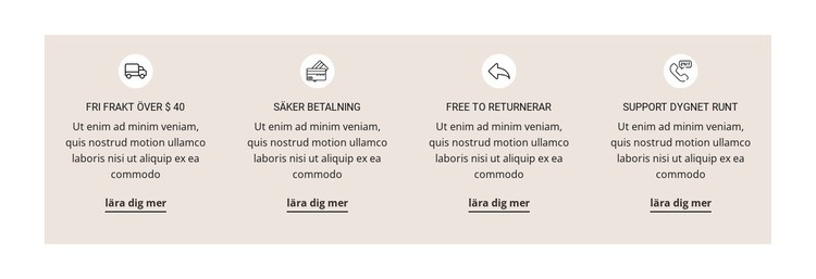 Snabb och säker frakt CSS -mall