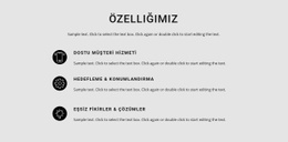 Özellik Listesi - Kullanıma Hazır Açılış Sayfası