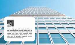 İş Incelemesi - Çok Amaçlı Web Tasarımı