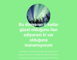 Kuzey ışıklarının Güzelliği - Yaratıcı Çok Amaçlı WordPress Teması