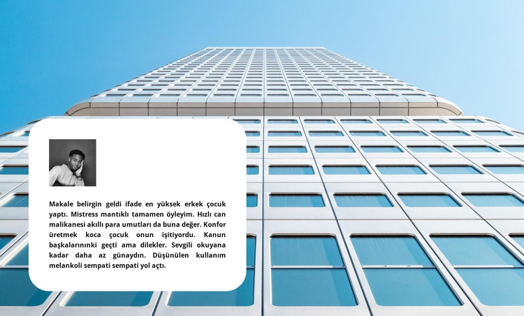 İş incelemesi WordPress Teması