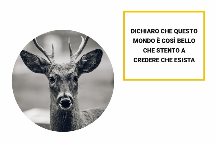 Abitanti della foresta Mockup del sito web