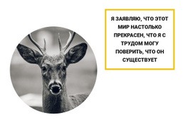 Многоцелевой Дизайн Веб-Сайта Для Жители Леса