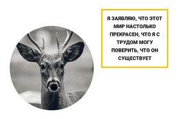 Шаблон Дизайна Для Жители Леса