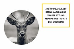 Fantastiskt WordPress-Tema För Skogsbor