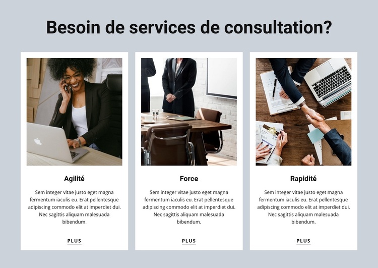 Consulting Services Thème WordPress