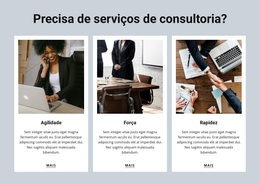 Consulting Services
