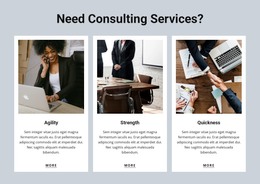 Consulting Services