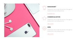 CSS Gratuit Pour Conseil Et Gestion Informatique