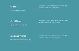 Co Děláme V Podnikání – Šablona Vstupní Stránky