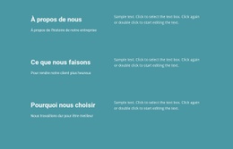 Ce Que Nous Faisons En Affaires - Modèle De Page De Destination