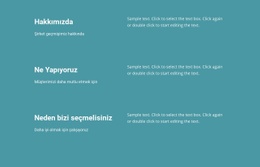 İş Hayatında Ne Yapıyoruz - Açılış Sayfası Şablonu