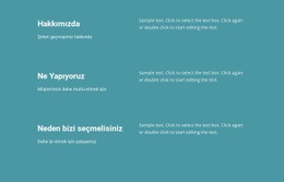 İş Hayatında Ne Yapıyoruz - Özel WordPress Teması