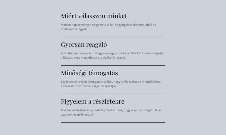 Vezető informatikai szolgáltatások CSS sablon