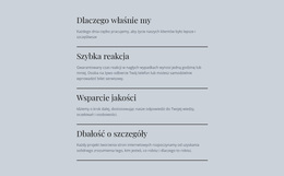 Wiodące Usługi IT - Piękny Motyw WordPress