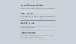 Lider BT Hizmetleri Için Site Şablonu