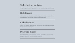 Lider BT Hizmetleri - Şablonlar Web Sitesi Tasarımı