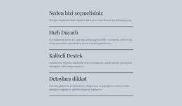 Lider BT Hizmetleri - Web Sitesi Tasarım Şablonu