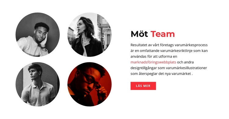 SMM -team WordPress -tema