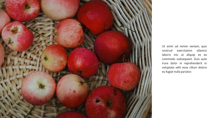 Jablečné dezerty Šablona CSS
