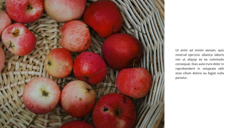 Postres de manzana Plantilla de sitio web
