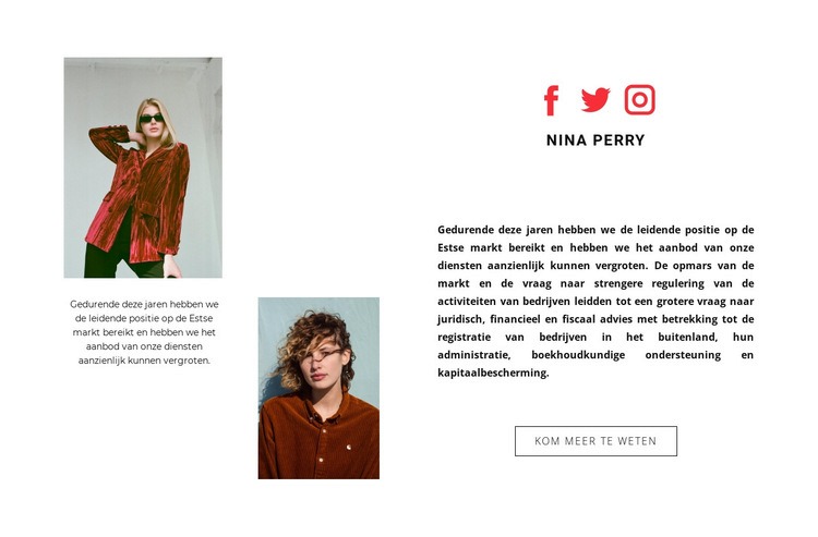 Onze stylisten Website mockup