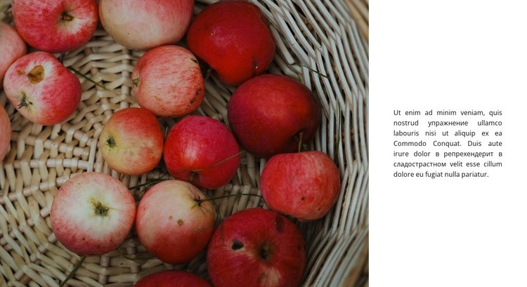Яблочные десерты Шаблоны конструктора веб-сайтов