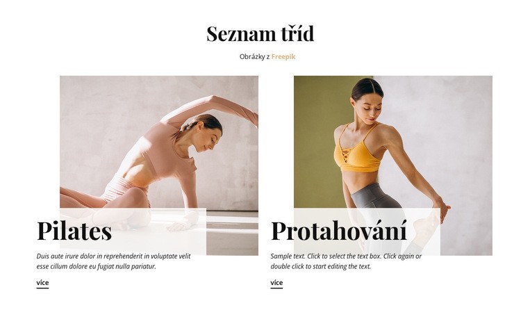 Sportovní třídy Šablona CSS